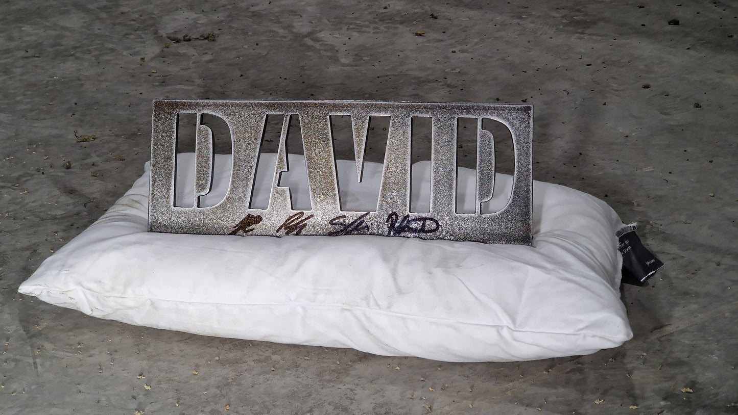 Rustic Steel Personalised Signed Name Plaque!!! Price Per Letter